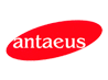 Antaeus Car Rentals